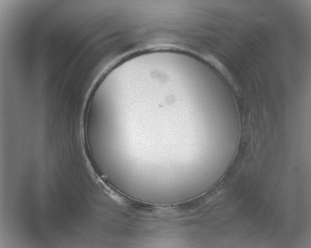 X0000054431191200508121810