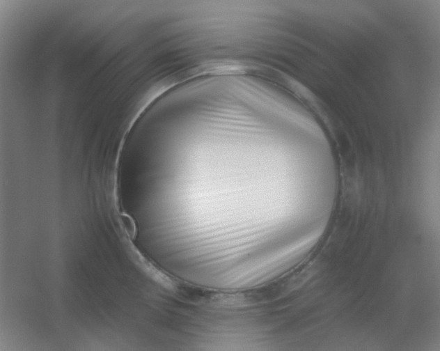 X0000054431194200508121810