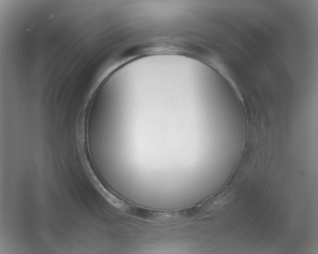 X0000054431195200508121810