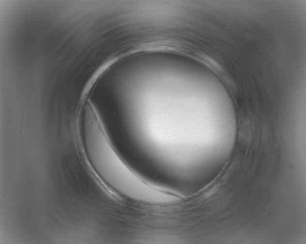 X0000054431196200508121810