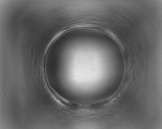 X0000054431197200508121810