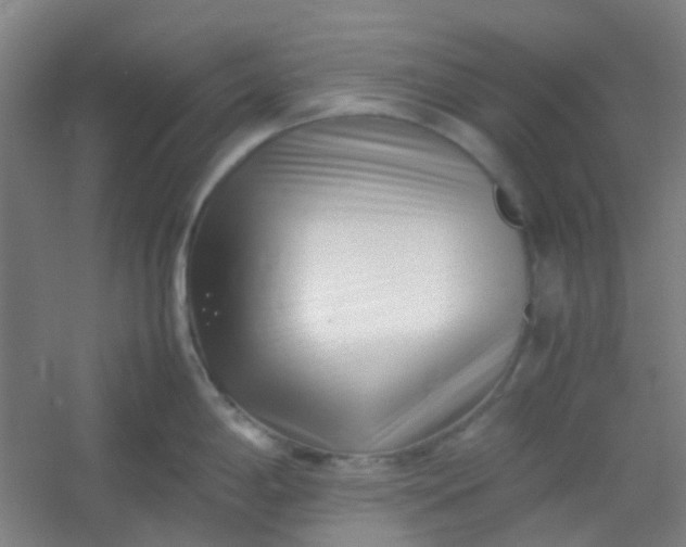 X0000054431198200508121810