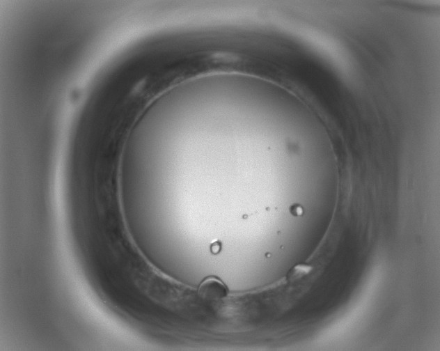 X0000054431199200508121810