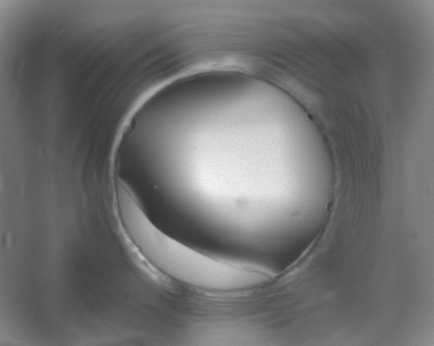 X0000054431200200508121810