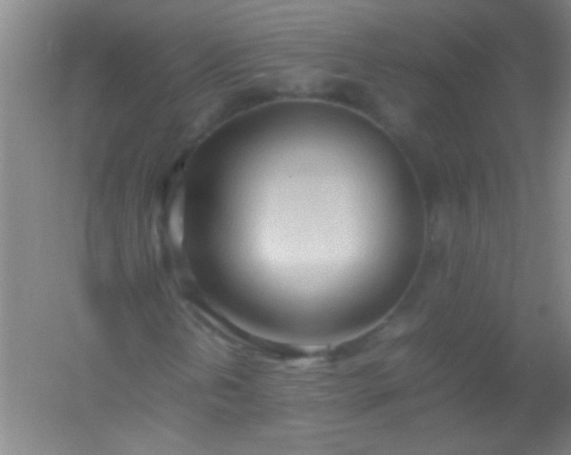 X0000054431202200508121809