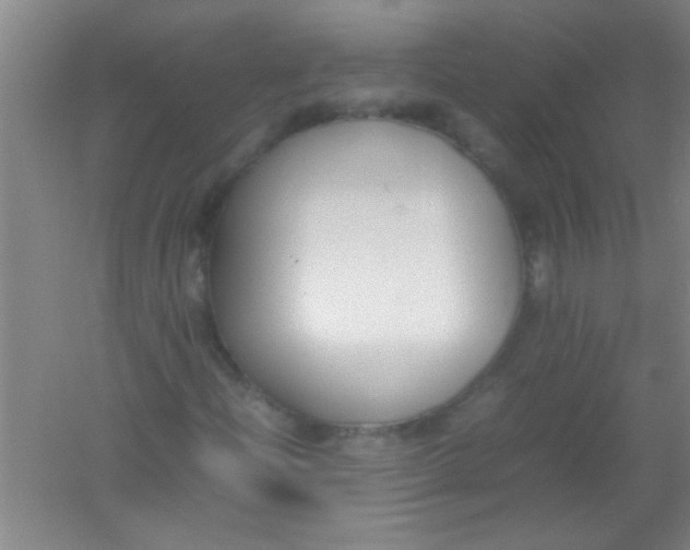 X0000054431204200508121809