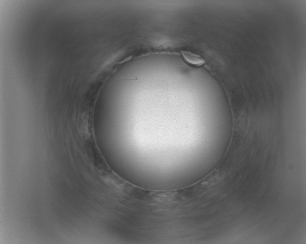 X0000054431205200508121809