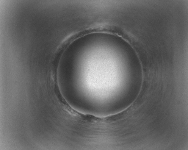 X0000054431206200508121809