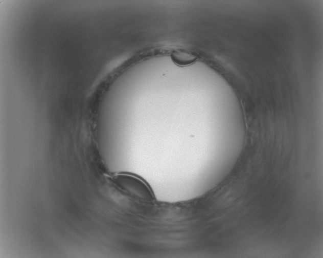 X0000054431207200508121809