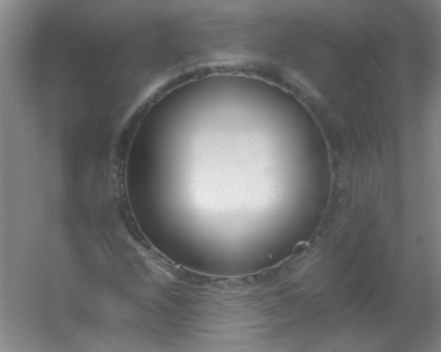 X0000054431208200508121809