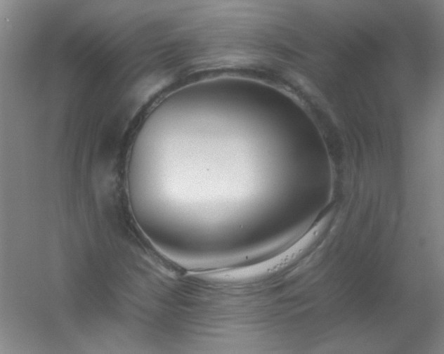 X0000054431210200508121809