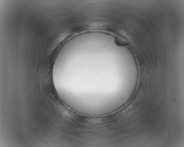 X0000054431211200508121809