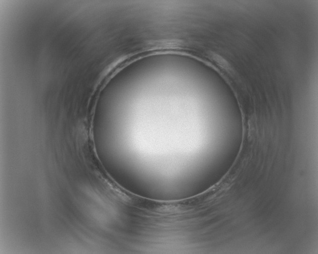 X0000054431212200508121809