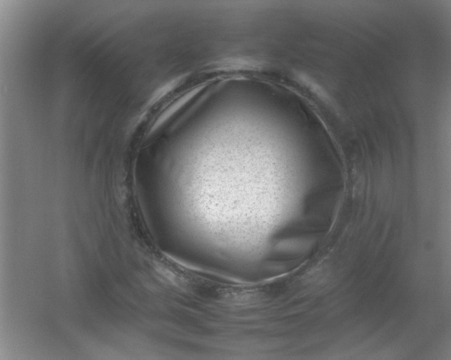 X0000054431213200508121809