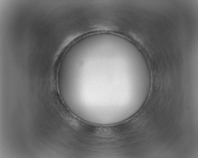 X0000054431215200508121809