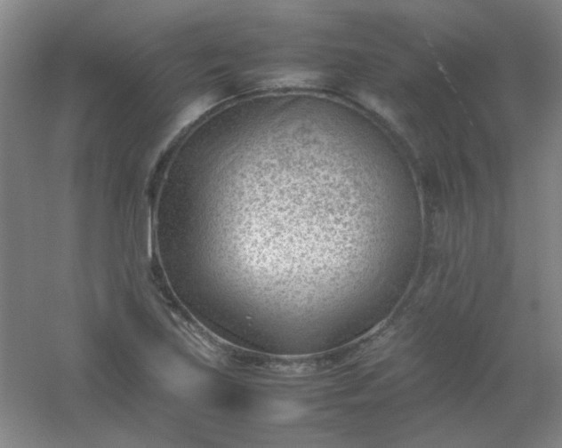 X0000054431219200508121809