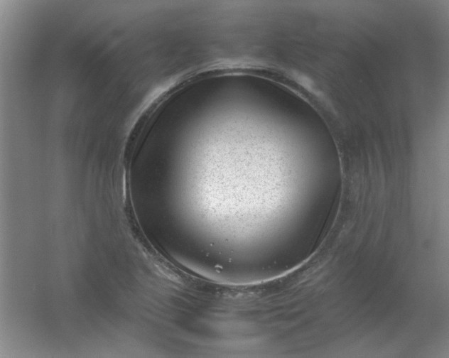 X0000054431221200508121809