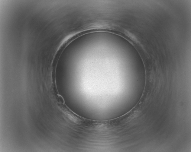 X0000054431222200508121809