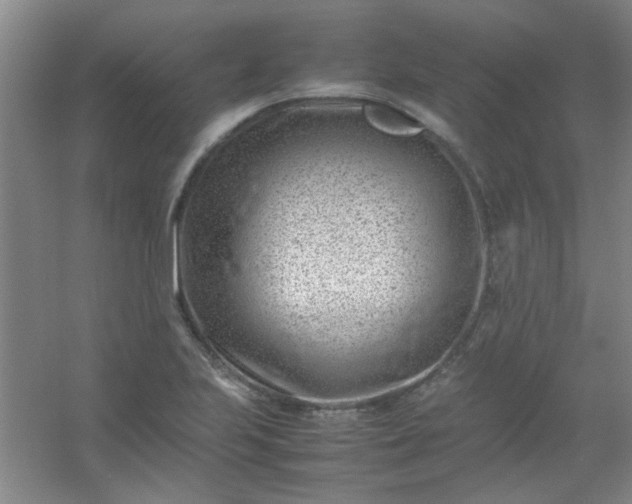 X0000054431223200508121809