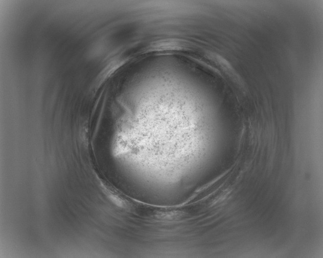 X0000054431225200508121810