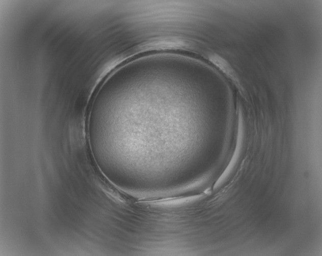 X0000054431226200508121810