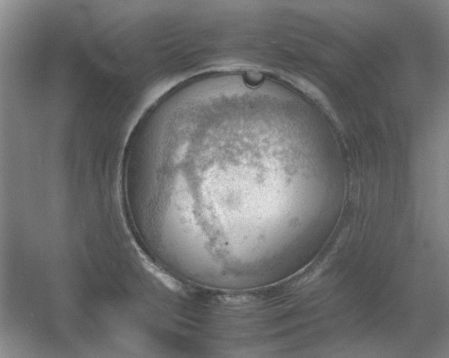 X0000054431231200508121810