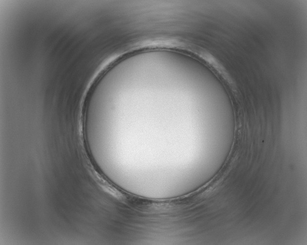 X0000054431232200508121810