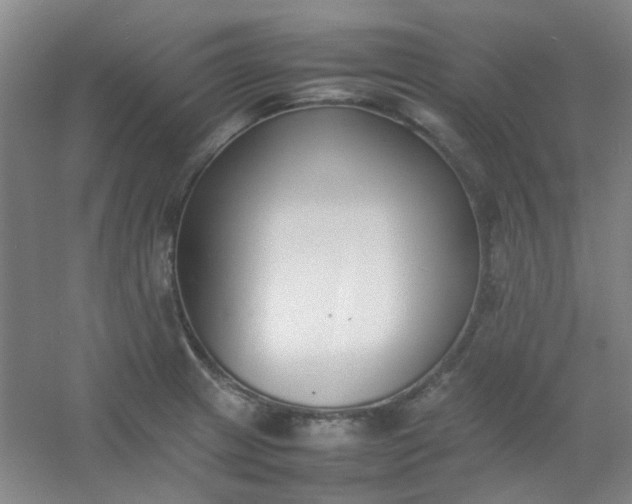 X0000054431233200508121810