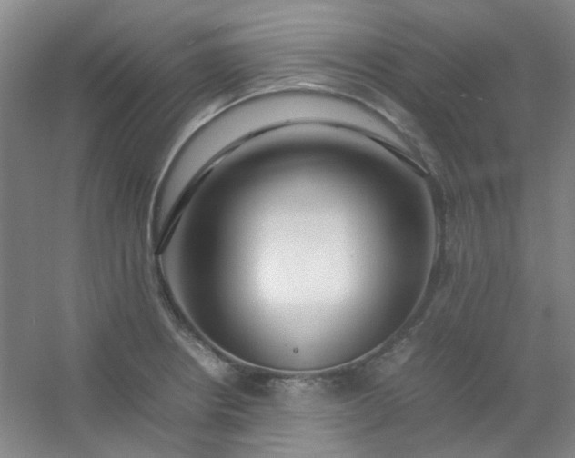 X0000054431234200508121810