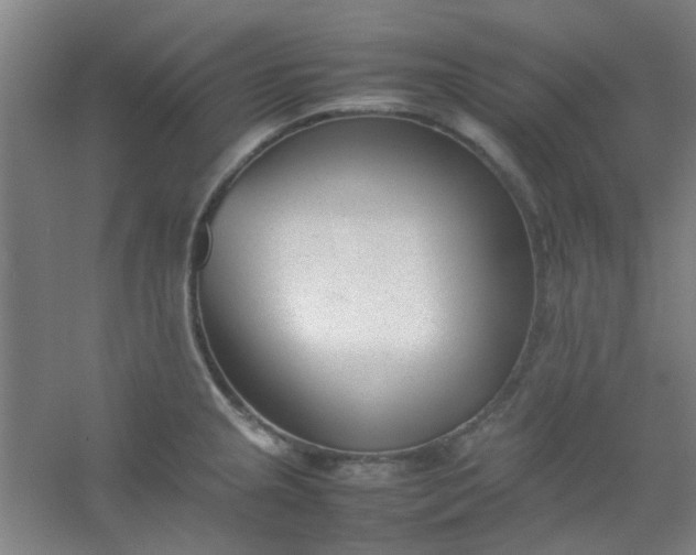 X0000054431237200508121810