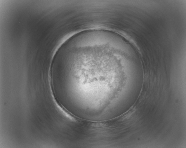 X0000054431239200508121810