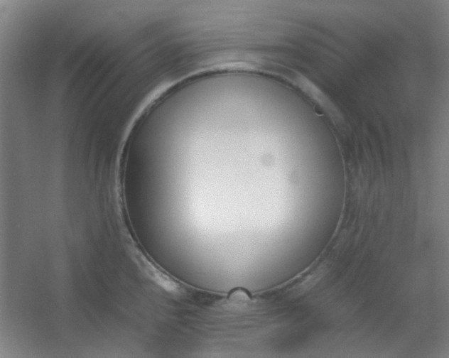 X0000054431240200508121810