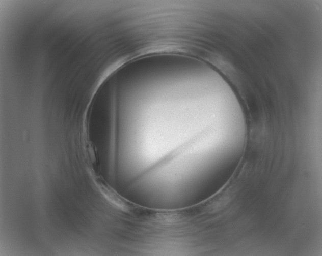 X0000054431242200508121810