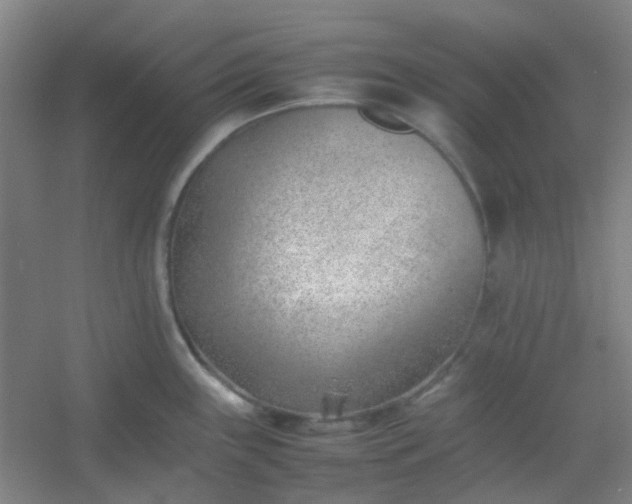 X0000054431243200508121810