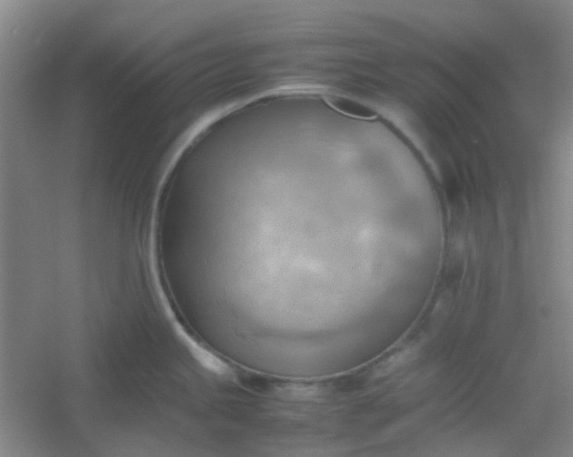 X0000054431245200508121810