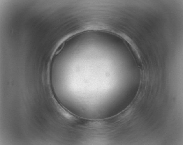 X0000054431246200508121810