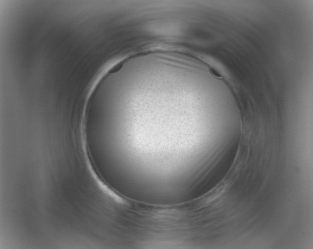 X0000054431247200508121810