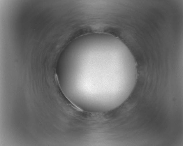 X0000054431249200508121809