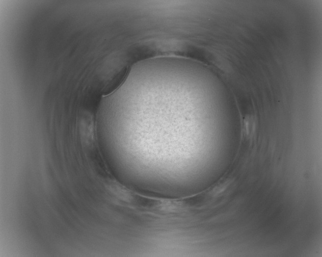 X0000054431251200508121809