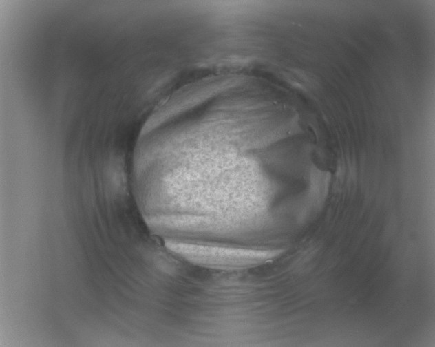 X0000054431252200508121809