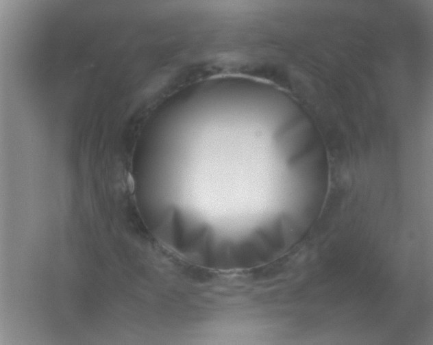 X0000054431253200508121809