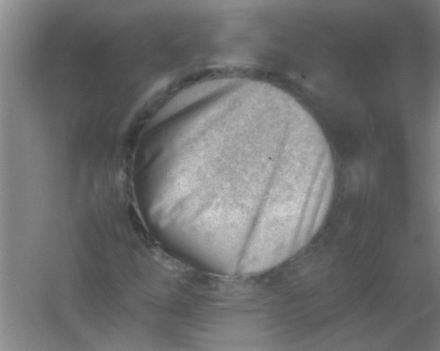 X0000054431254200508121809