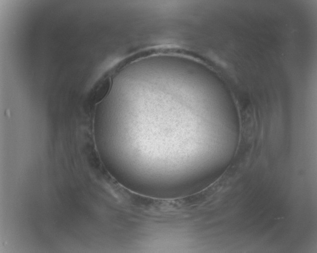 X0000054431255200508121809