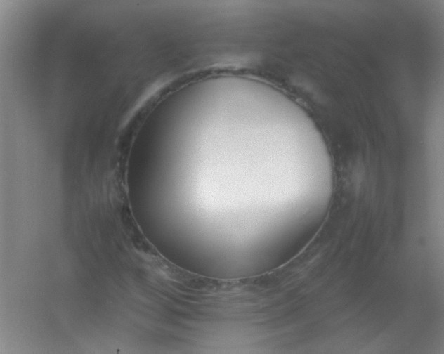 X0000054431256200508121809