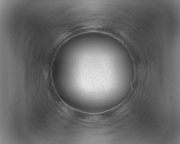 X0000054431257200508121809