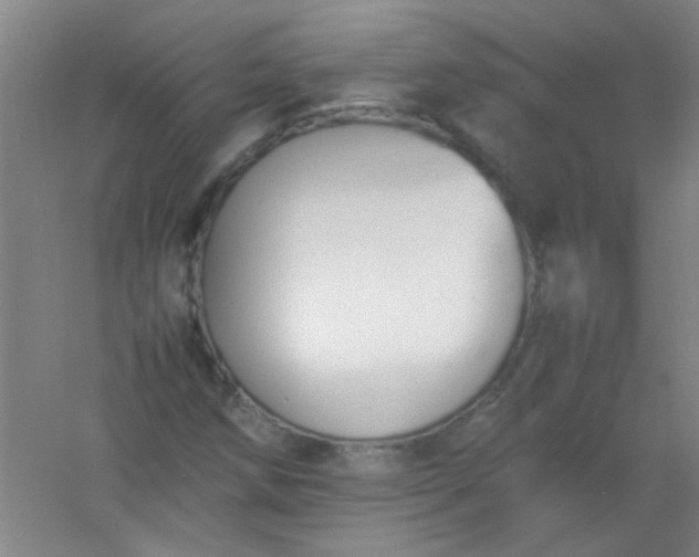 X0000054431258200508121809