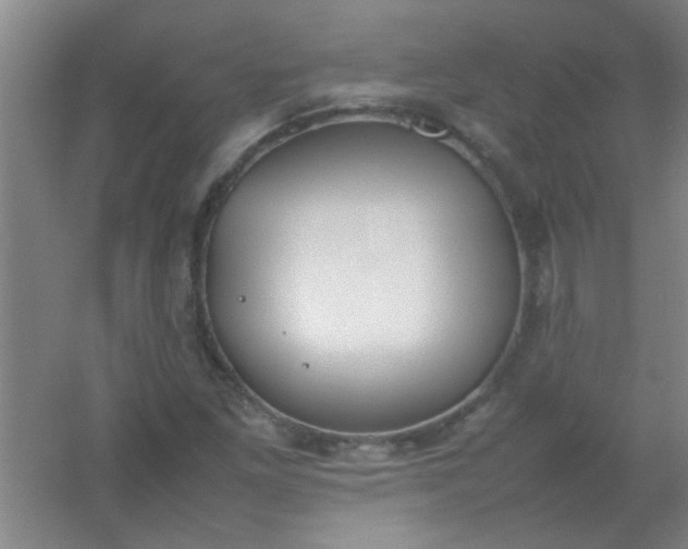 X0000054431261200508121809