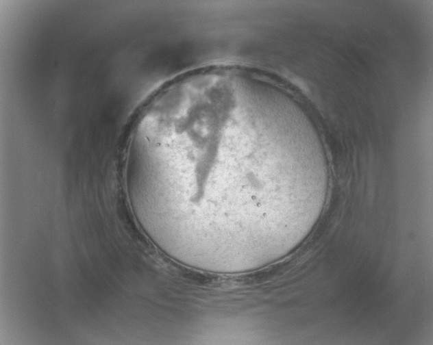 X0000054431263200508121809