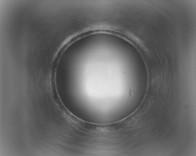 X0000054431264200508121809