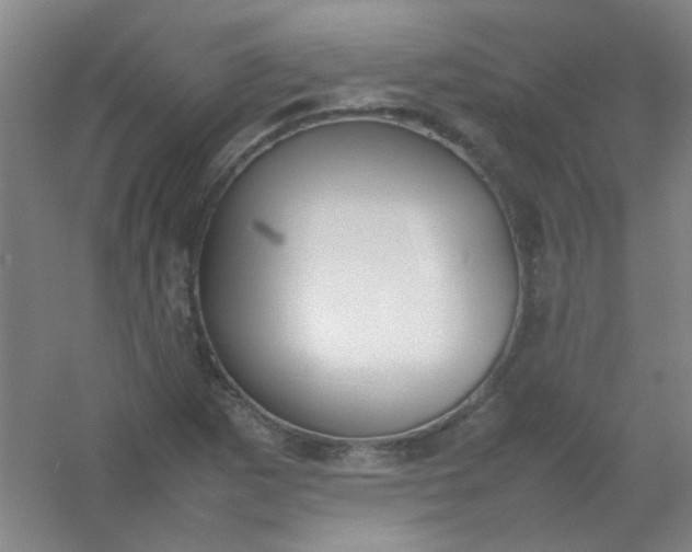 X0000054431265200508121809